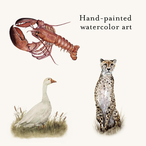 Our Big Book of Animals