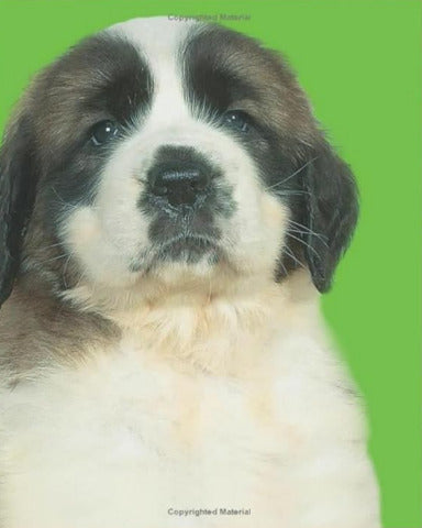 Bright Baby Touch & Feel: Perfect Pets - Treasure Island Toys