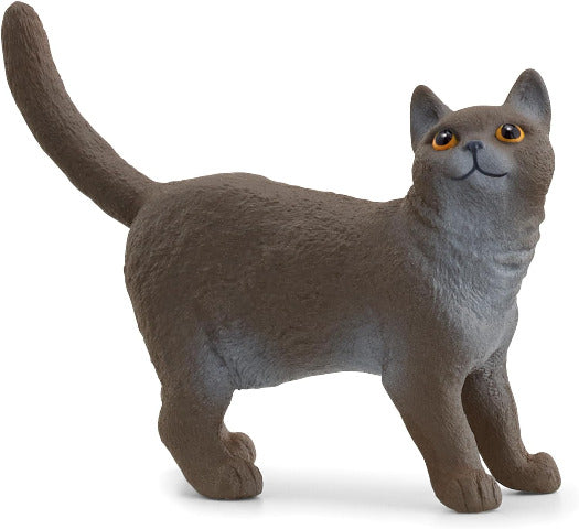 Schleich British Shorthair Cat - Treasure Island Toys