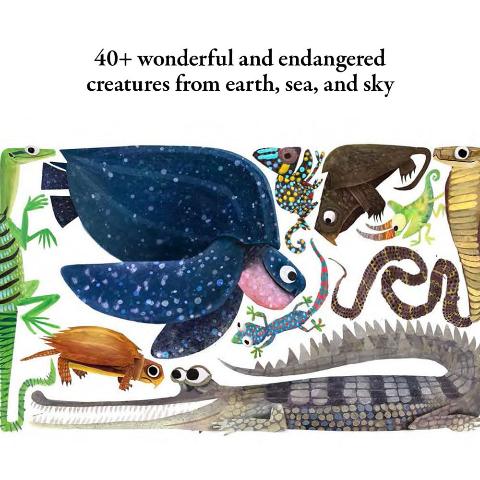 Hello Hello Shapes - Treasure Island Toys