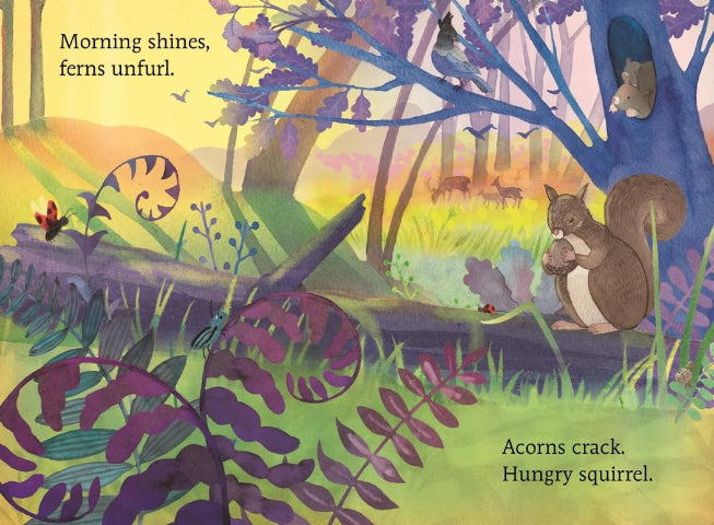 Hello Sun - Treasure Island Toys