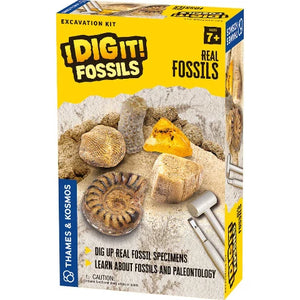 Thames & Kosmos I Dig It! Excavation Fossils: Real Fossils - Treasure Island Toys