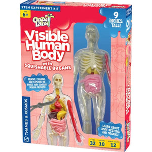 Thames & Kosmos Ooze Labs: Visible Human Body - Treasure Island Toys