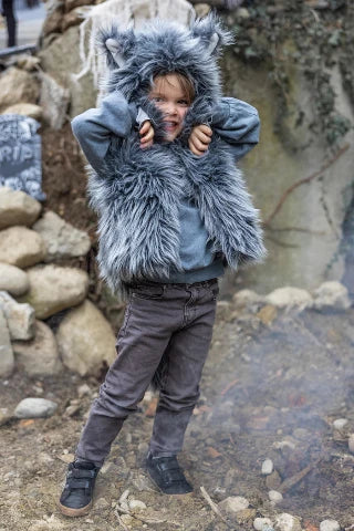 Great Pretenders Costume - Big Bad Wolf Vest with Gloves, Size 5-6 - Treasure Island Toys