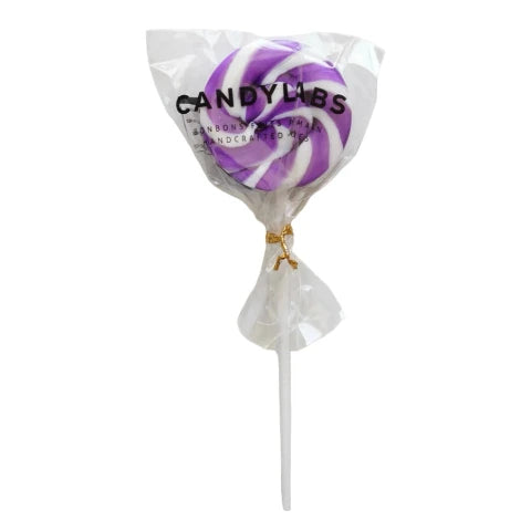 CandyLabs Lollipop Grape - Treasure Island Toys