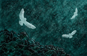 A Walk in the Dark - Treasure Island Toys