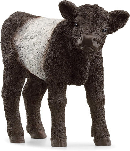 Schleich Galloway Calf - Treasure Island Toys