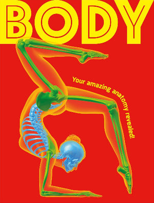 DK Body: Your Amazing Anatomy Revealed!