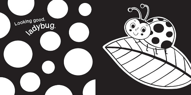 Hello, Garden Bugs - Treasure Island Toys