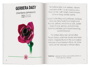 LEGO Botanicals Tiny Wildflower Bouquet - Treasure Island Toys