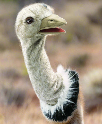 Folkmanis Stage Puppet - Ostrich