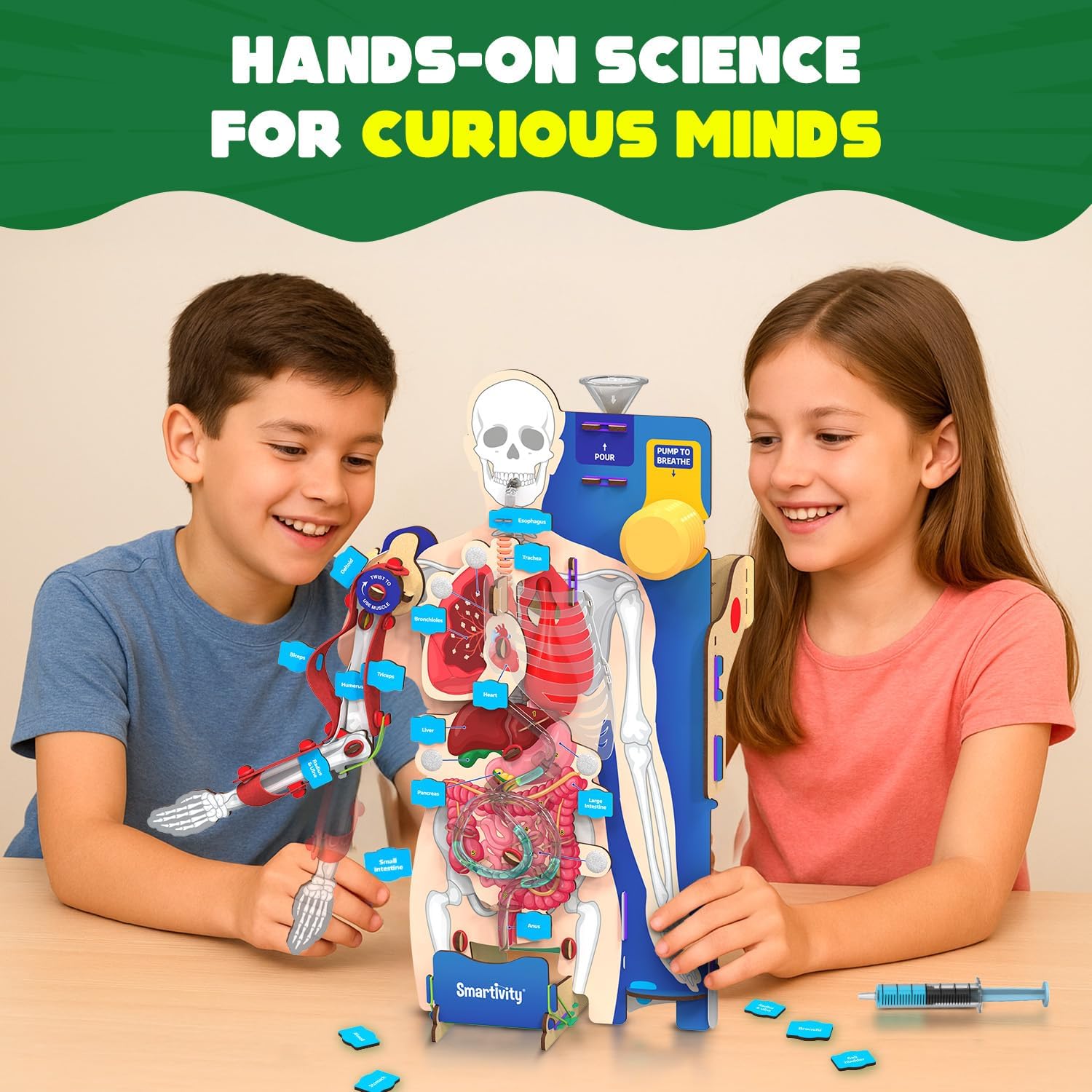 Smartivity Interactive Human Body - Treasure Island Toys