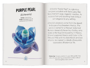 LEGO Botanicals Tiny Desert Garden - Treasure Island Toys