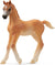 Schleich Arabian Foal - Treasure Island Toys