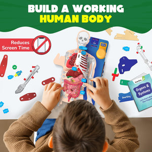 Smartivity Interactive Human Body - Treasure Island Toys