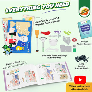 Smartivity Interactive Human Body - Treasure Island Toys