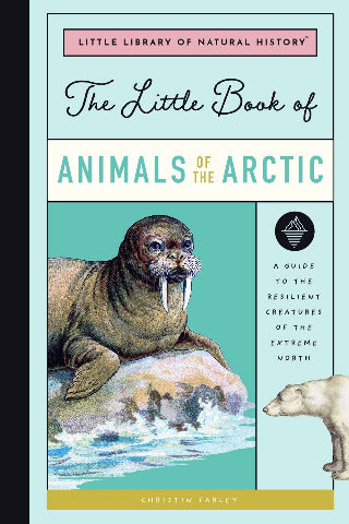The Little Book of Arctic Animals - Treasure Island Toys