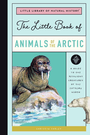 The Little Book of Arctic Animals - Treasure Island Toys