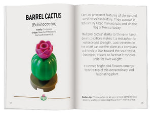 LEGO Botanicals Tiny Desert Garden - Treasure Island Toys