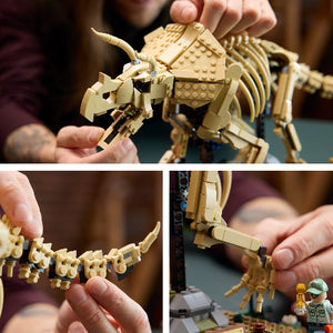 LEGO Jurassic World Dinosaur Fossils: Triceratops - Treasure Island Toys