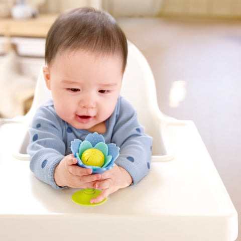 Hape Baby Rattle & Teether - Treasure Island Toys