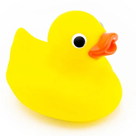 Sassy Baby Cool Water Duck