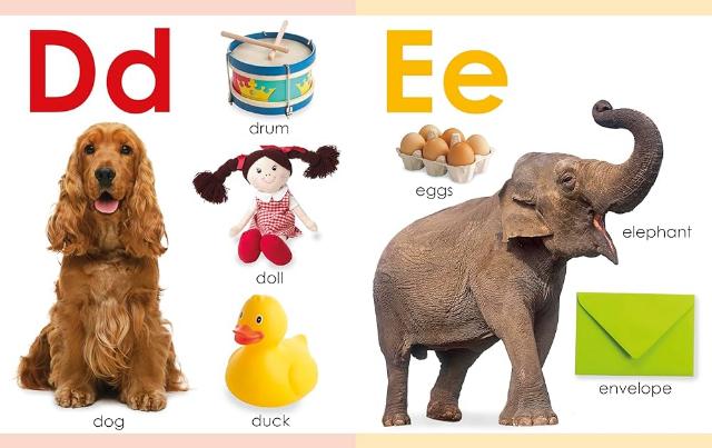 DK My First ABC - Treasure Island Toys