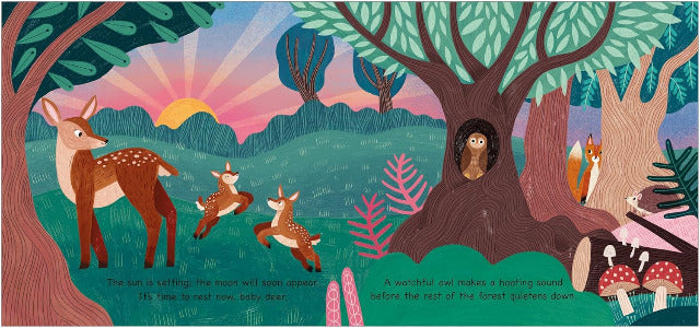 Night Night Little One - Treasure Island Toys