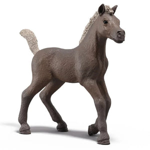 Schleich Horse Club, Series 1 - Treasure Island Toys