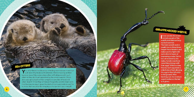 National Geographic Kids: Weirdest Animals on the Planet - Treasure Island Toys