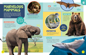 National Geographic Kids: Little Kids First Encyclopedia of Almost Everything - Treasure Island Toys