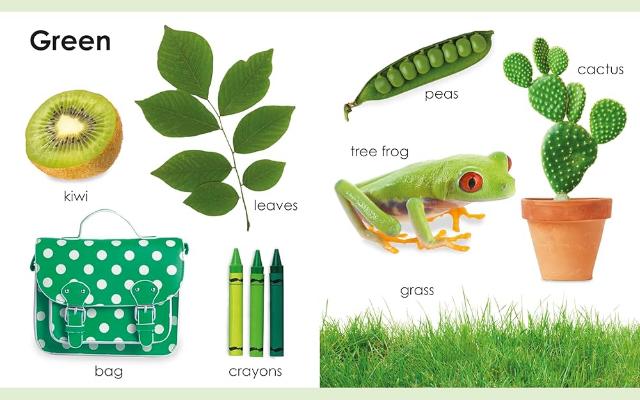 DK My First Colors - Treasure Island Toys