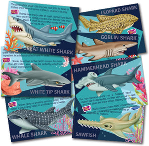 4M Art Mould & Paint Sharks - Treasure Island Toys
