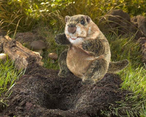 Folkmanis Puppet - Groundhog