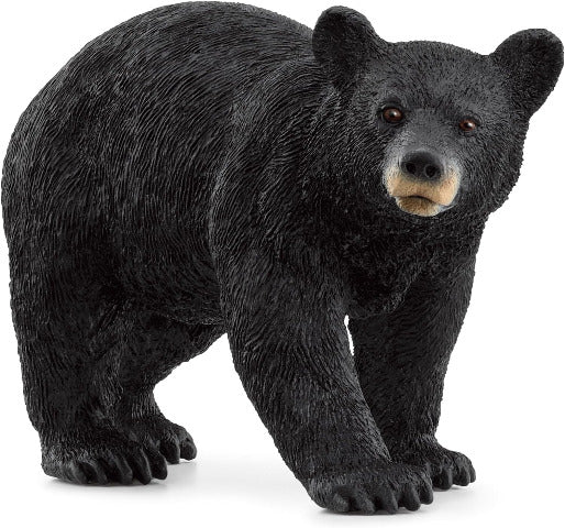 Schleich Black Bear - Treasure Island Toys