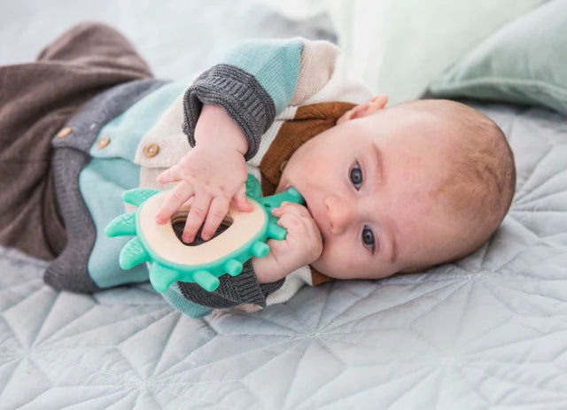 Hape Baby Hedgehog Teether - Treasure Island Toys