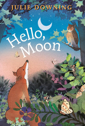 Hello Moon - Treasure Island Toys