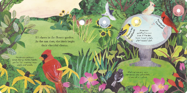 Songs of the Birds - Treasure Island Toys