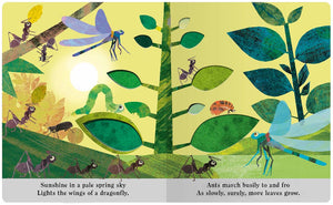A Peek-Through Board Book: Bugs - Treasure Island Toys