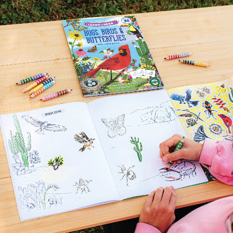 eeBoo Art - Learn to Draw Bugs, Birds, & Butterflies - Treasure Island Toys