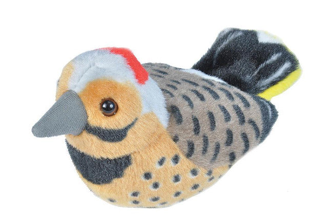 Audubon Birds Northern Flicker - Treasure Island Toys