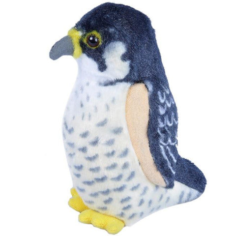 Audubon Birds Peregrine Falcon - Treasure Island Toys