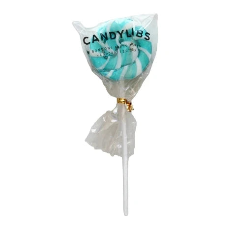 CandyLabs Lollipop Blueberry - Treasure Island Toys