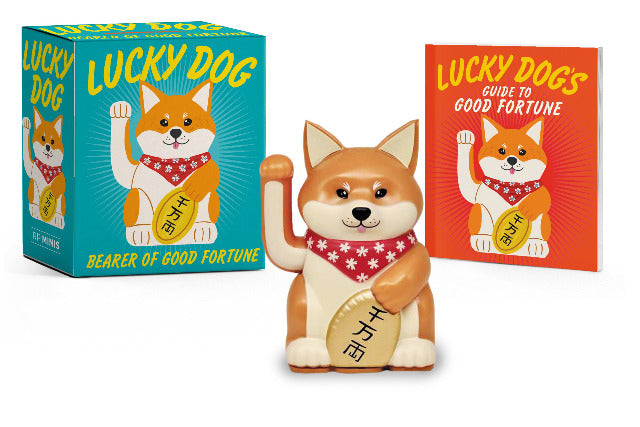 Little Box Lucky Dog