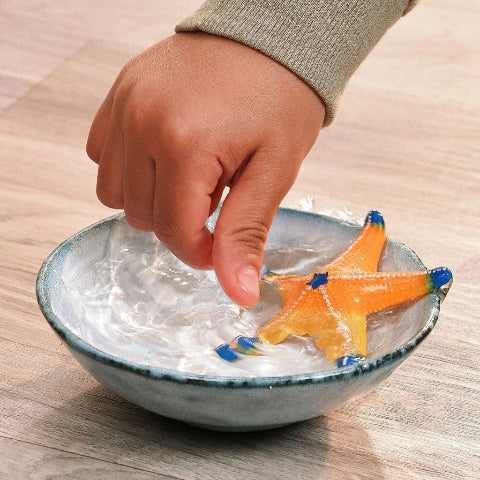 Schleich Starfish - Treasure Island Toys