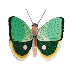 Studio Roof Fern Striped Butterfly - Treasure Island Toys