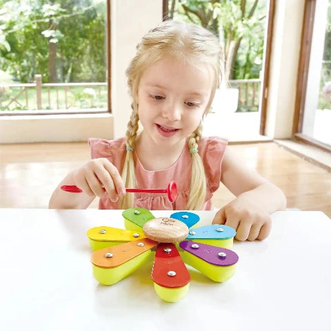 Hape Music Nature Band Rhythm Set - Treasure Island Toys