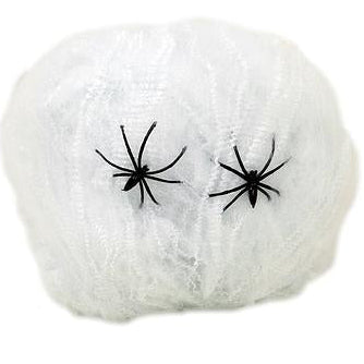Spiderweb with Spiders