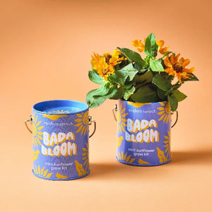 Modern Sprouts  Complimentary Colours - Bada Bloom Mini Sunflower
