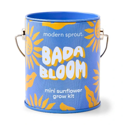 Modern Sprouts  Complimentary Colours - Bada Bloom Mini Sunflower